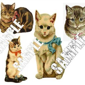 MP Kitten Applique's Set